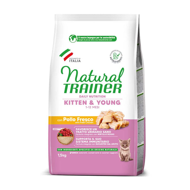Natural Trainer Kitten