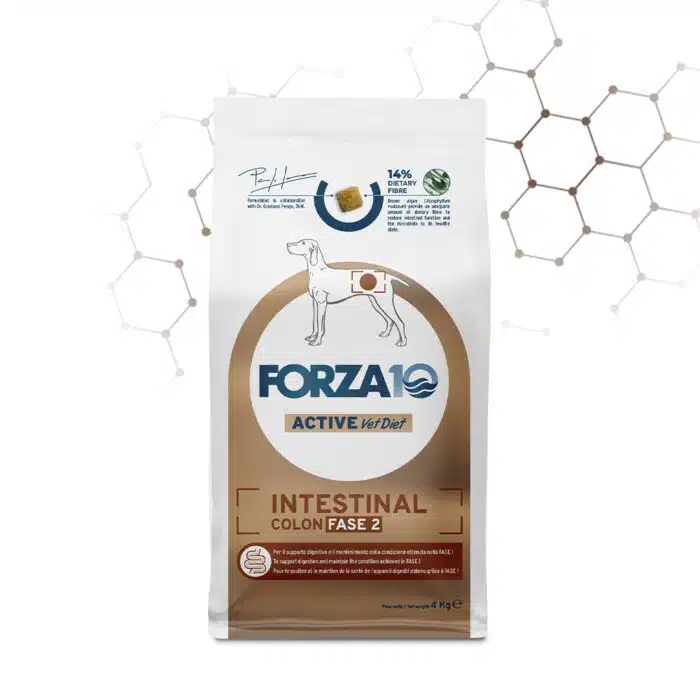 Forza10 Intestinal Colon Fase 2 (10 KG)